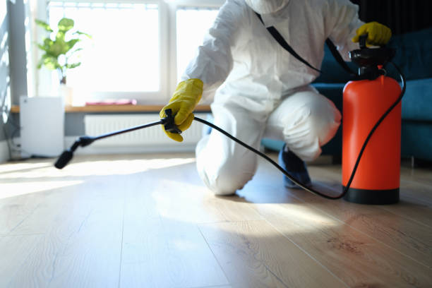 Flea Control Services in Woodland Beach, MI