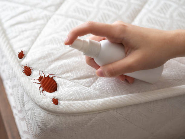 Best Mosquito Control Services  in Woodland Beach, MI