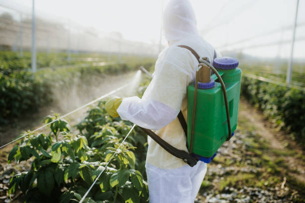 Best Pest Control Near Me  in Woodland Beach, MI
